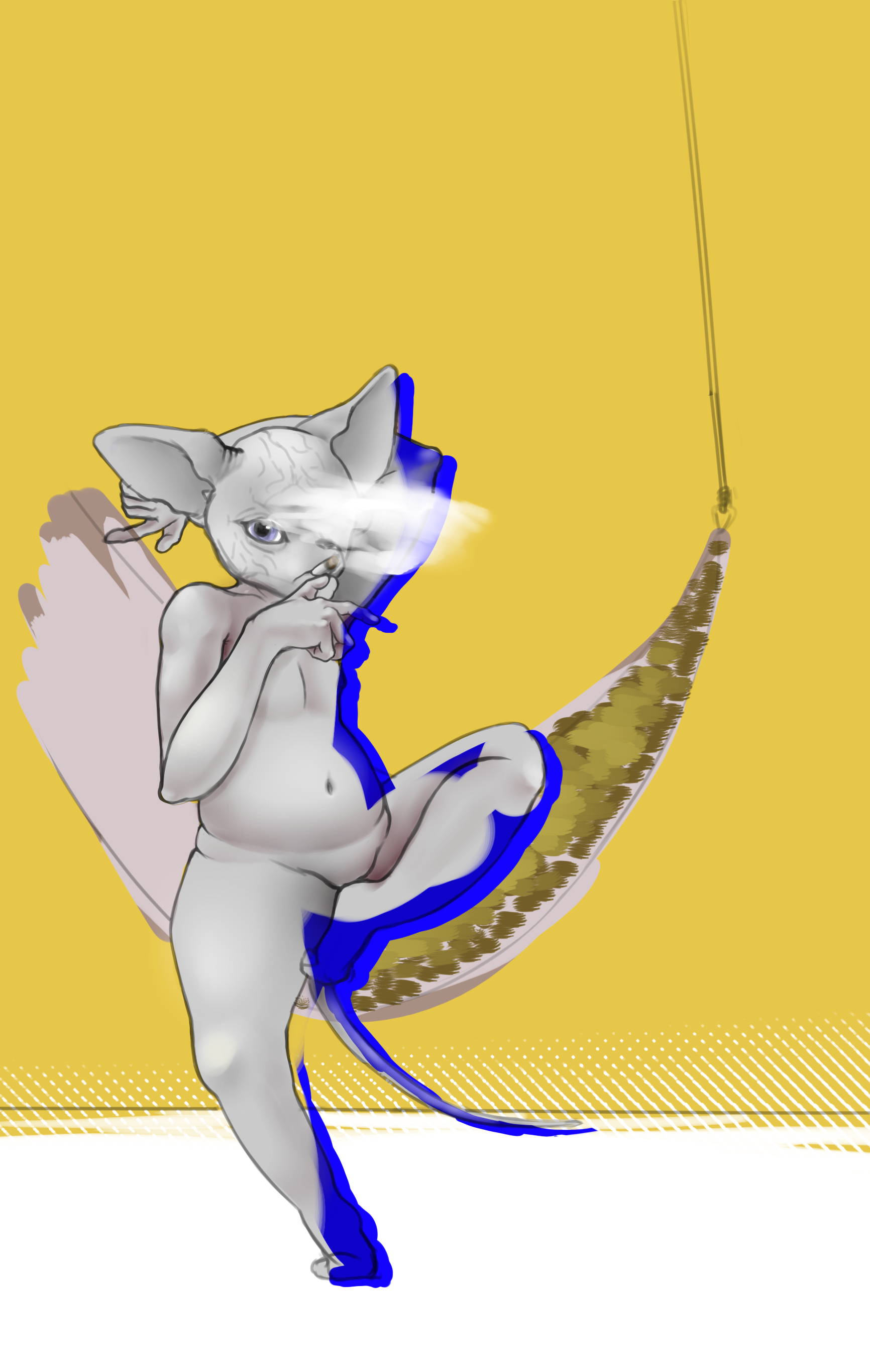 Let Sleeping Cats Lie_NEW